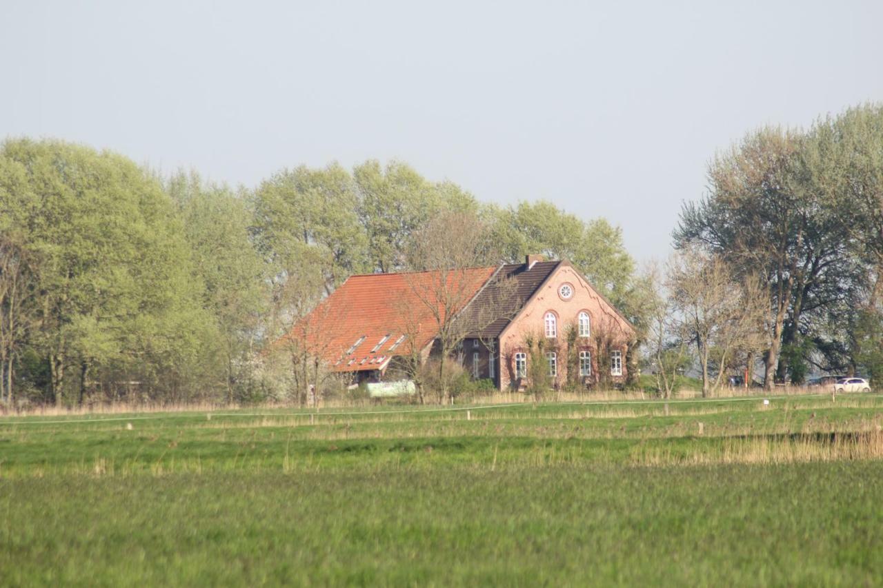 Spiegelhaus * Krummhoern